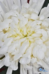 20120131-DSC_0402_副本.jpg
