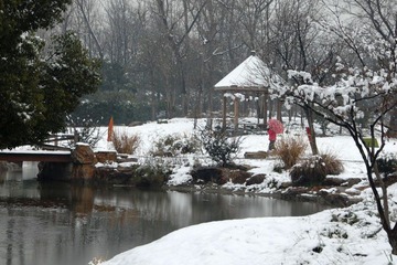 DSC_0056m.jpg