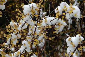 DSC_0030m.jpg