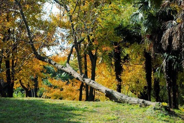 DSC_0060m.jpg