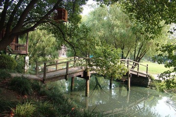 DSC05446m.jpg