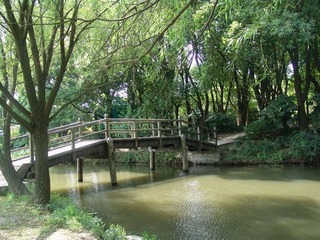 板桥m.jpg