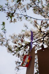 IMG_2366.jpg