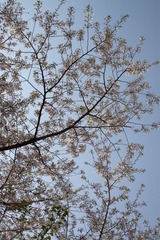 IMG_2285.jpg