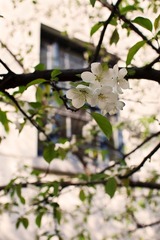IMG_2311.jpg