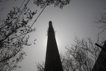 _MG_0076.JPG