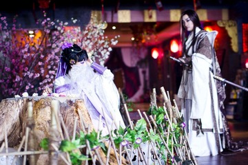 霹雳布袋戏
