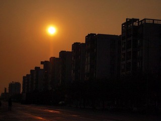 白藤头水闸扫路 (27).jpg