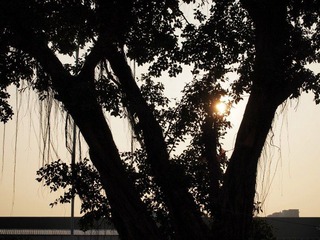 白藤头水闸扫路 (77).jpg
