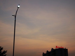 白藤头水闸扫路 (70).jpg