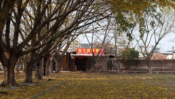 SP015084okok.jpg