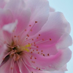 ASC_0690.jpg