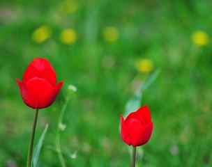 ASC_0599.jpg