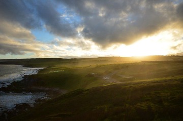 IMG_0505.jpeg