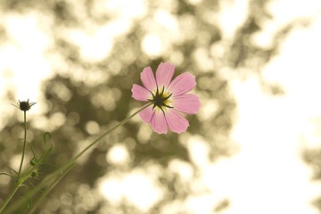 DSC_9939_1.jpg