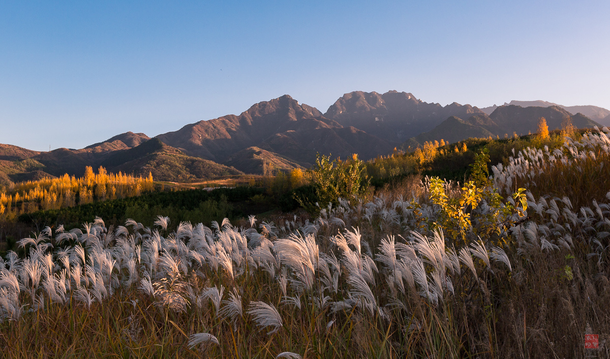 山脚那片秋之二