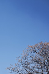 7D996887-8F99-4E07-B4E7-7D185613E674/L0/001