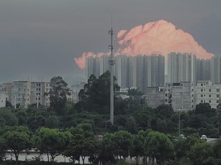 1334829