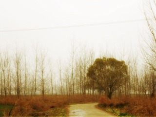 DSCN0095.jpg