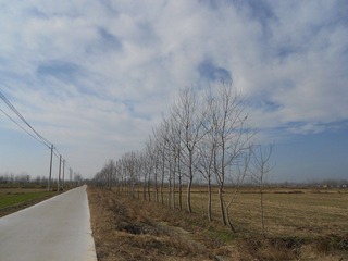 DSCN0254.jpg