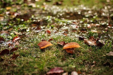 IMG_3717.jpg