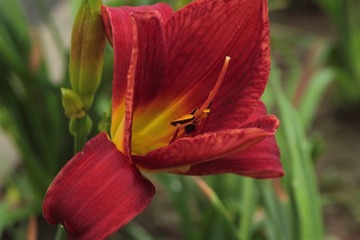 DPP_01001.JPG