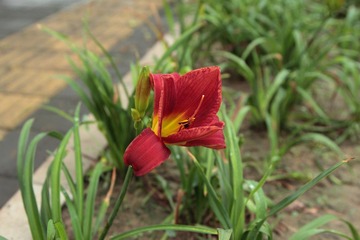 DPP_01004.JPG