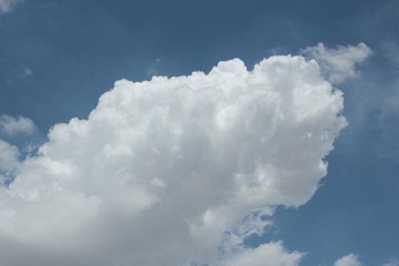 DPP_30014928.JPG