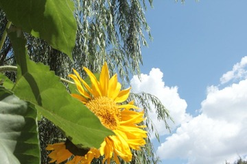 DPP_40014927.JPG