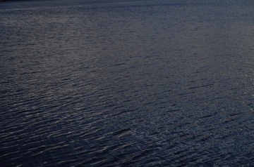 80498772-F891-49E1-BC7D-9A7257C98645/L0/001
