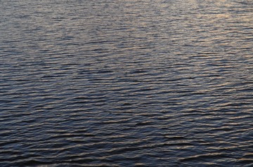 D3CC0685-3E88-446B-80E4-CBCEF8250DB3/L0/001