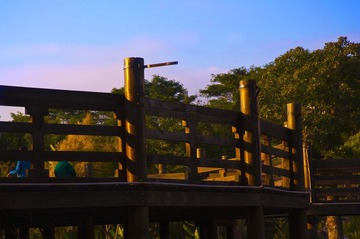 DSC_1347.jpg