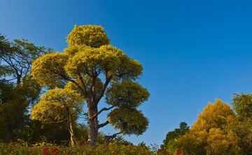 DSC_1321.jpg