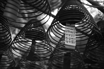 DSC00436 副本-1.jpg