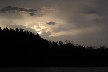 IMG_0083.JPG