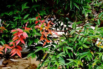 IMG_0171.JPG