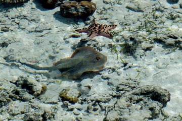 IMG_0316.JPG