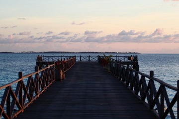 IMG_0329.JPG