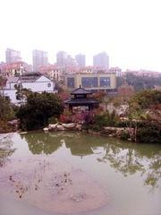 SI853019.JPG