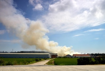 D60_5580