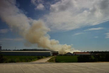 D60_5580