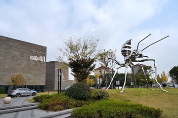 Z62_5317