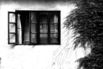 610_4448-BW