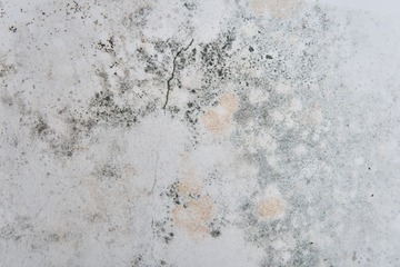 610_8745