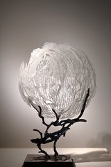 Z60_6233