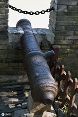 Z61_6639