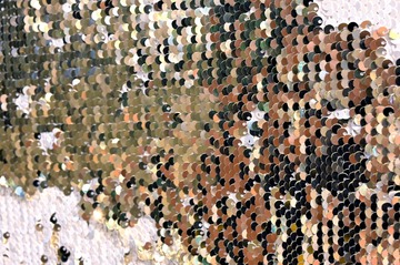 Z60_9509