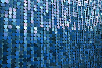 Z60_5569