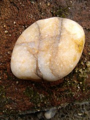 IMG_20130209_095843