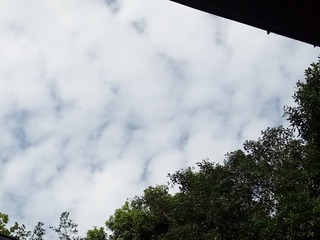 2354491